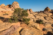 South Coyote Buttes