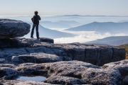 Dolly Sods