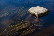 Canaan Valley stream