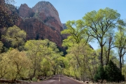 Zion National Park