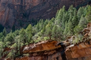 Zion National Park