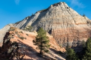 Checkerboard Mesa, East Plateau, Zion National Park