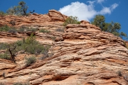 East Plateau, Zion National Park