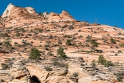 East Plateau, Zion National Park