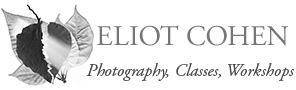 Eliot Cohen's photography, photo workshops, and classes