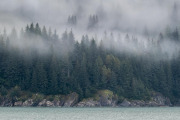 coastal fog, Glacier Bay