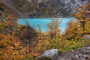 fall colors at Lago Huemul