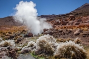 geothermal activity near the El Tatio Geysers