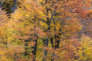 Cerro Castillo National Park