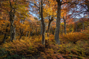 Cerro Castillo National Park