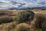  Patagonia National Park