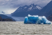 iceberg, Lago Grey