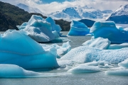 icebergs, Lago Grey