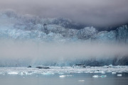 fog, Margerie Glacier