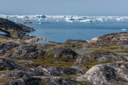 icebergs seen from the rocky tundra, Ilulissat