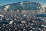 calved ice, Ilulissat