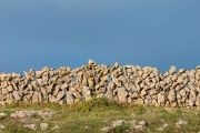 stone fence,  Inishmore, Aran Islands