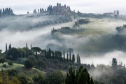 morning fog, San Gimignano