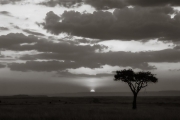 Sunset, Masai Mara