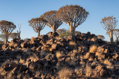 Namibia - Desert Places