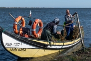 Fishermen and women on the Aveiro Lagoon