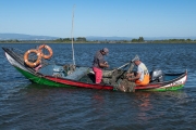 Fishermen on the Aveiro Lagoon