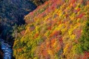 Fall color, Blackwater River